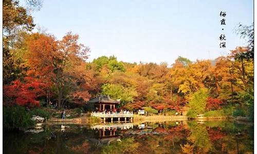 南京栖霞山风景区旅游攻略必去景点_南京栖霞山风景区旅游攻略