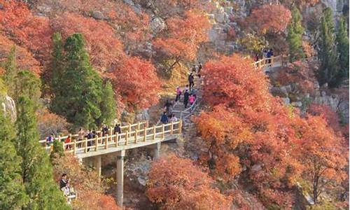 临朐石门坊景区旅游_临朐石门坊门票价格