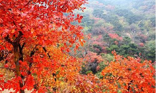 北京香山公园票价_北京香山公园游玩时间