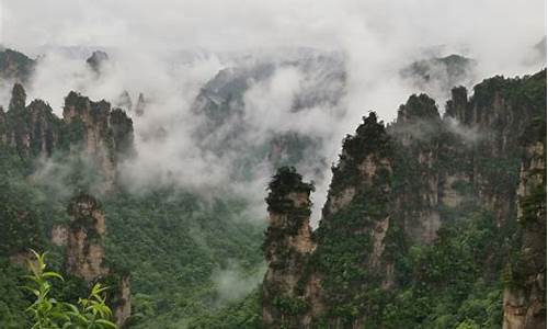 张家界旅游一般几天能逛完_张家界旅游一般几天