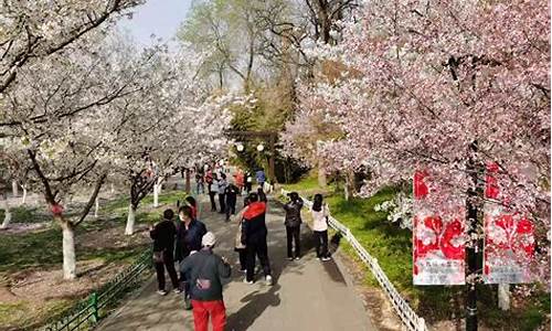 玉渊潭公园樱花节门票_玉渊潭公园樱花节门票价格多少