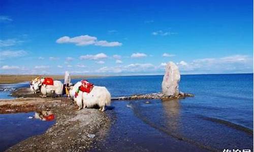 青海旅游注意事项出行小贴士衣服拿哪些_青海旅游出行必备物品清单