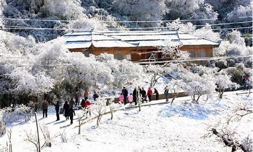 南川金佛山有哪些景点图片_南川金佛山有哪些景点