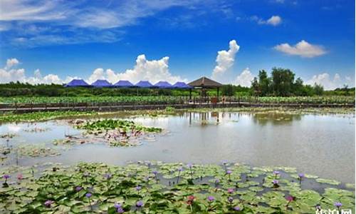 南沙湿地公园变化原因是什么_南沙湿地公园占地面积