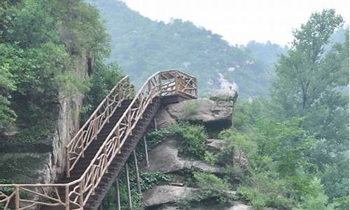 沟崖自然风景区的古树叫什么_沟崖风景区电话