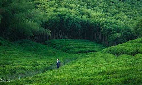 莫干山风景区旅游攻略路线_莫干山游玩路线图