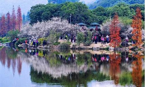 春季旅游景点推荐文案怎么写_春季旅游景点推荐文案